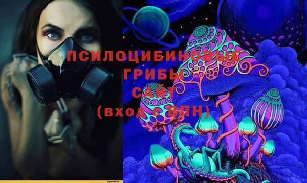 трава Богородицк
