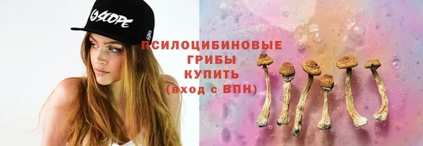 трава Богородицк